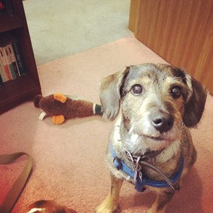 10407223_10152501014161314_7458814877538341624_n