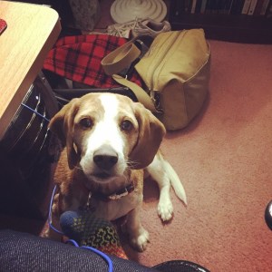 67352_10152524846086314_466757484982314645_n